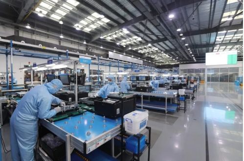 抗疫路上，我們都是一家人 從全民同心到精準紓困